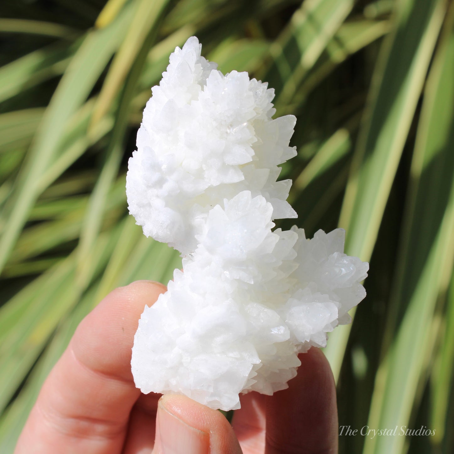 A+ White Aragonite Crystal Cluster