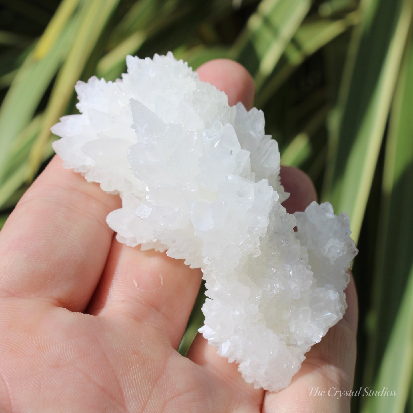 A+ White Aragonite Crystal Cluster