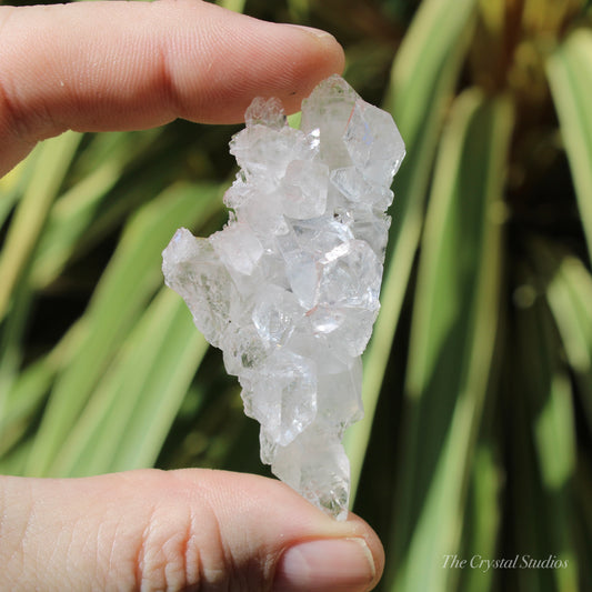 Apophyllite Natural Crystal Cluster