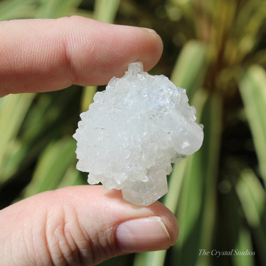 Apophyllite Natural Crystal Cluster