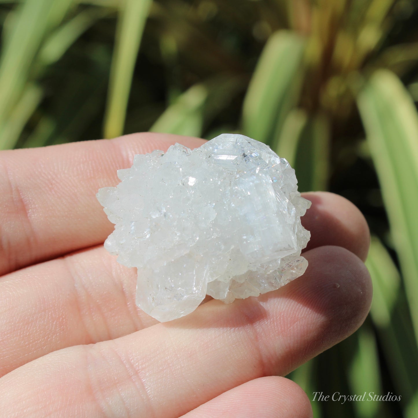 Apophyllite Natural Crystal Cluster