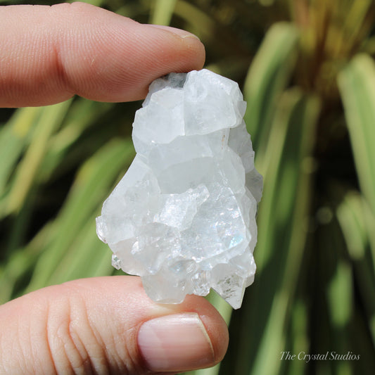 Apophyllite Natural Crystal Cluster