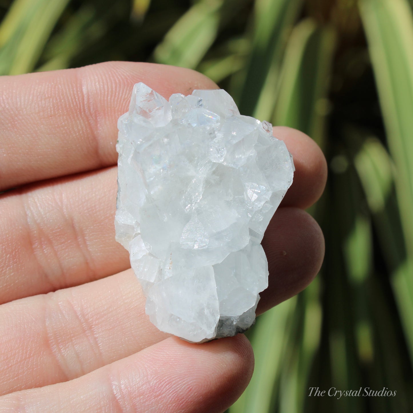 Apophyllite Natural Crystal Cluster