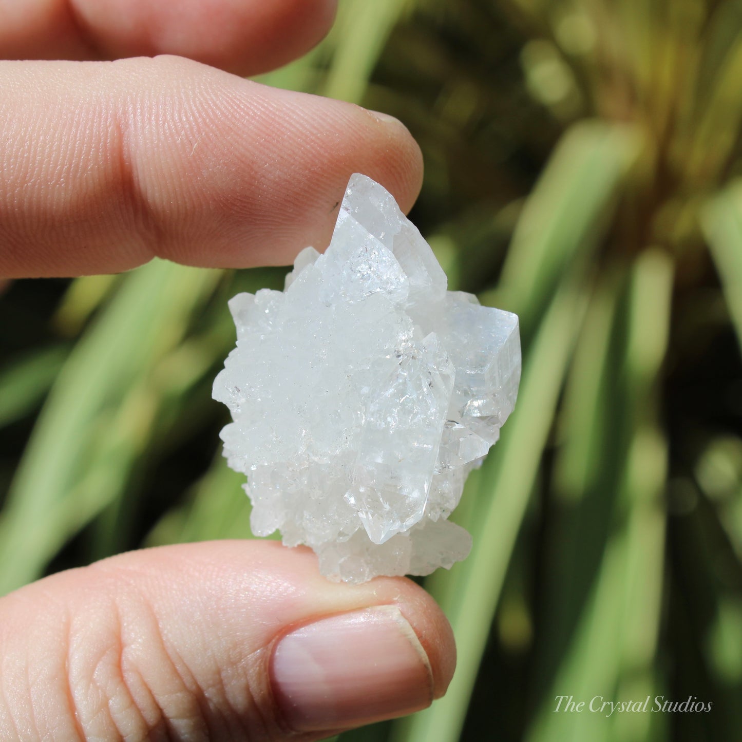 Apophyllite Natural Crystal Cluster