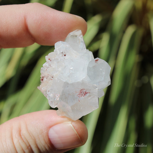 Apophyllite Natural Crystal Cluster