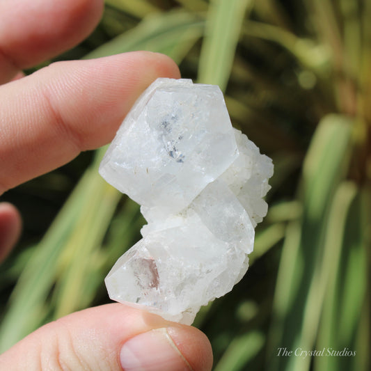 Apophyllite Natural Crystal Cluster