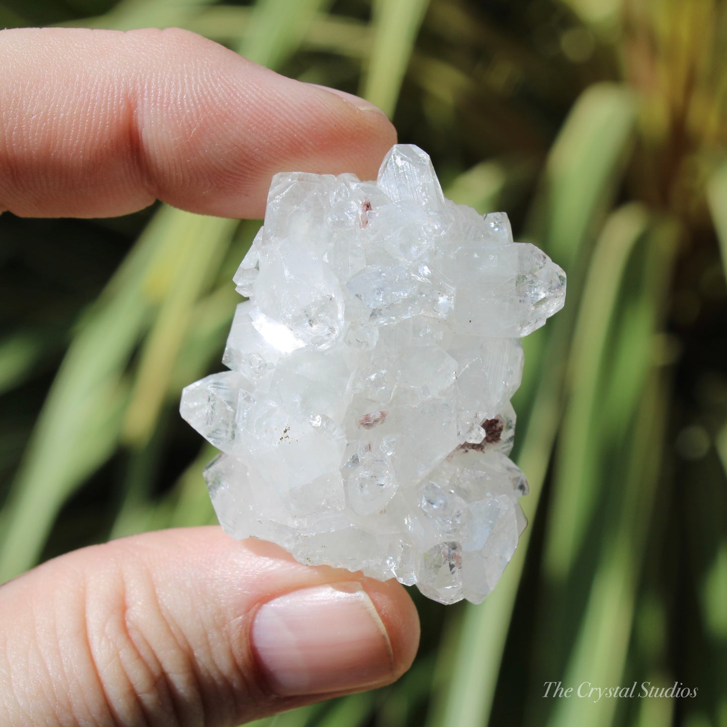 Apophyllite Natural Crystal Cluster