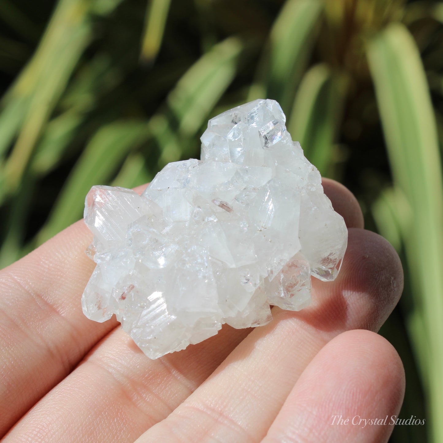 Apophyllite Natural Crystal Cluster