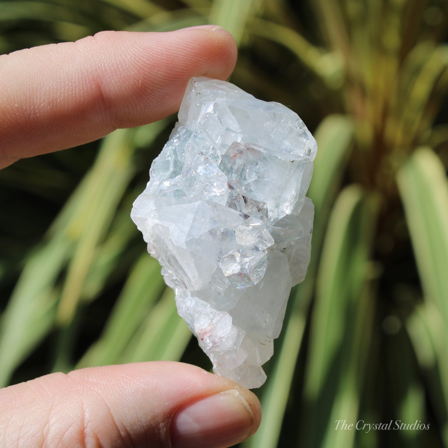 Apophyllite Natural Crystal Cluster