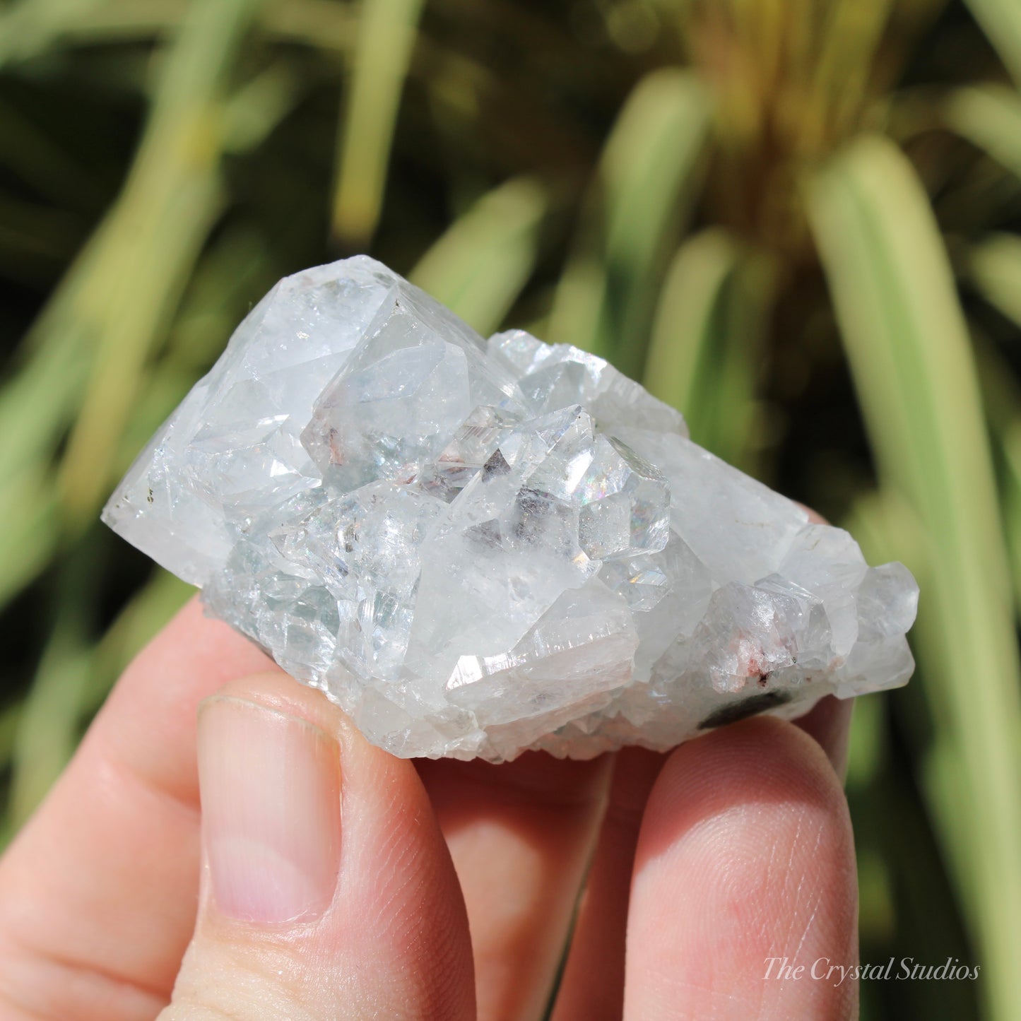 Apophyllite Natural Crystal Cluster