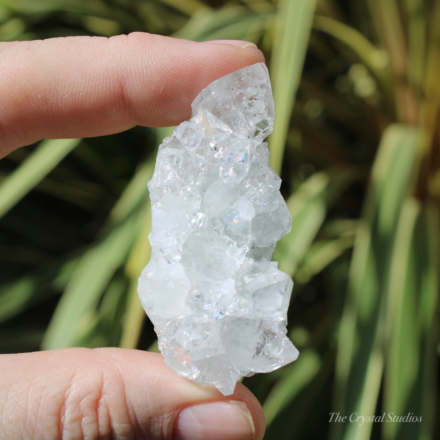 Apophyllite Natural Crystal Cluster