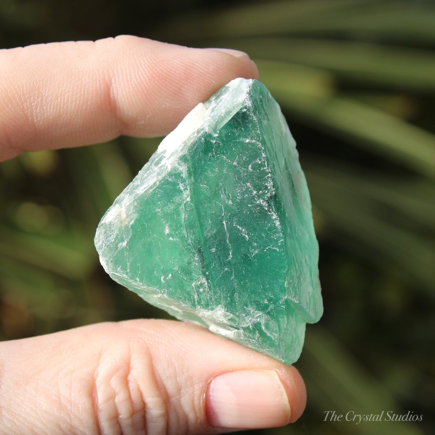 Green Fluorite Natural Crystal