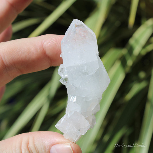 Apophyllite Natural Crystal Cluster