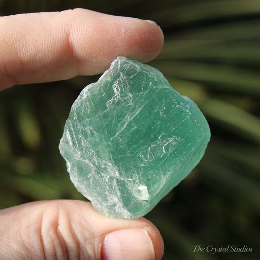 Green Fluorite Natural Crystal