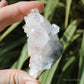 Apophyllite Natural Crystal Cluster