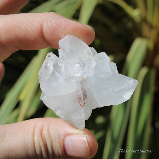 Apophyllite Natural Crystal Cluster