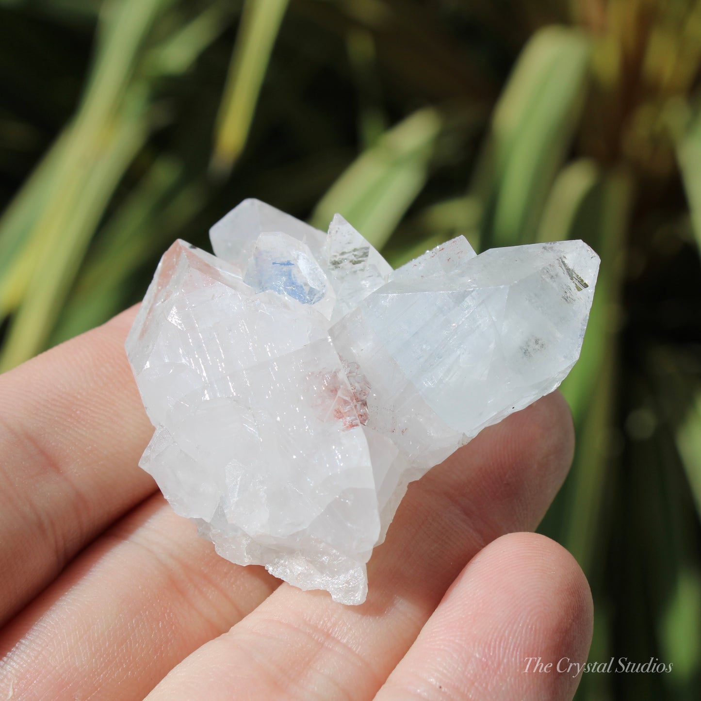 Apophyllite Natural Crystal Cluster