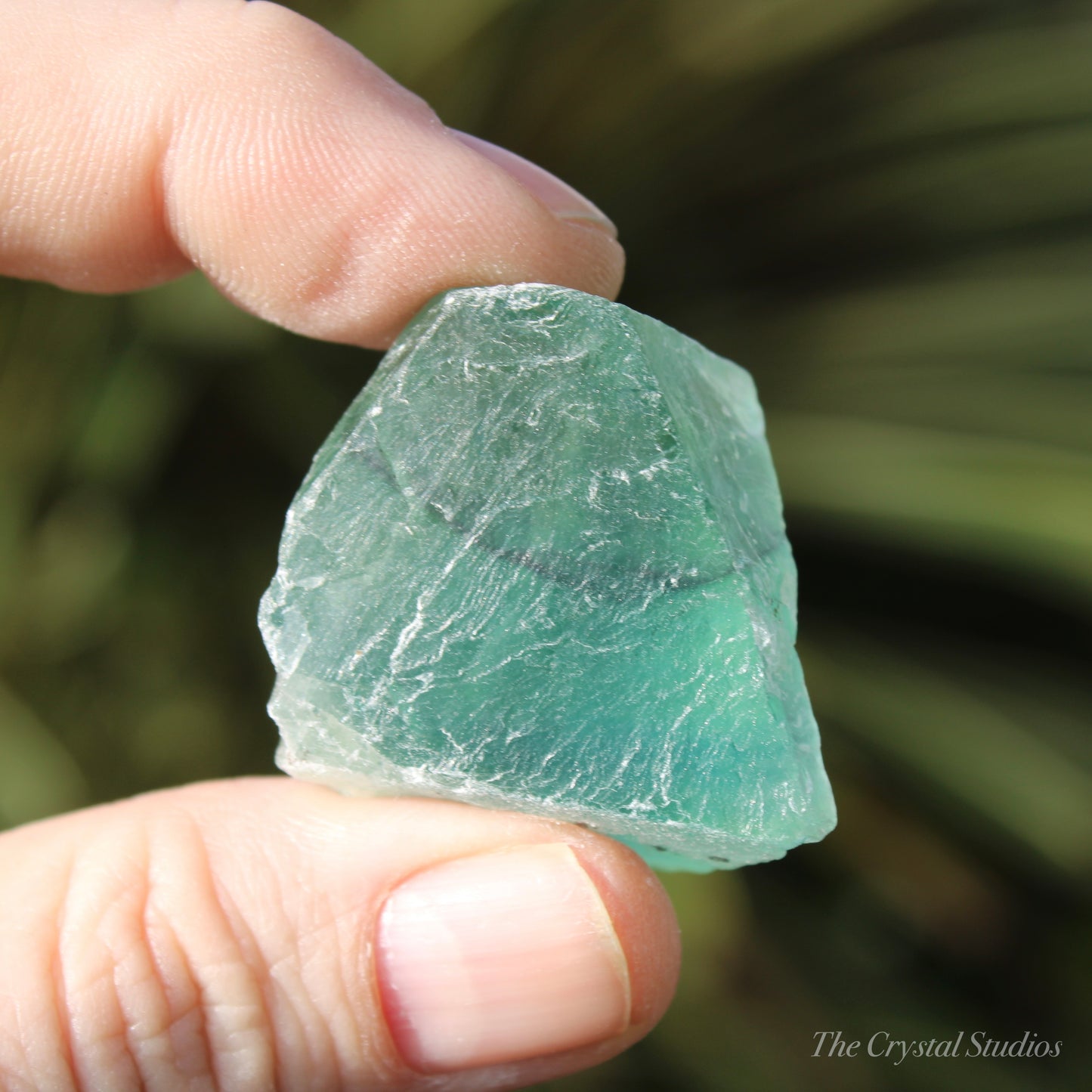 Green Fluorite Natural Crystal