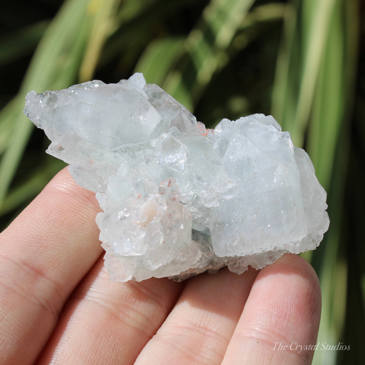 Apophyllite Natural Crystal Cluster