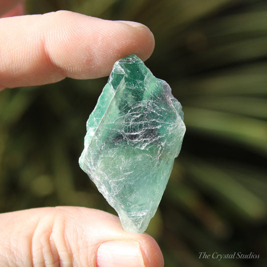 Green Fluorite Natural Crystal