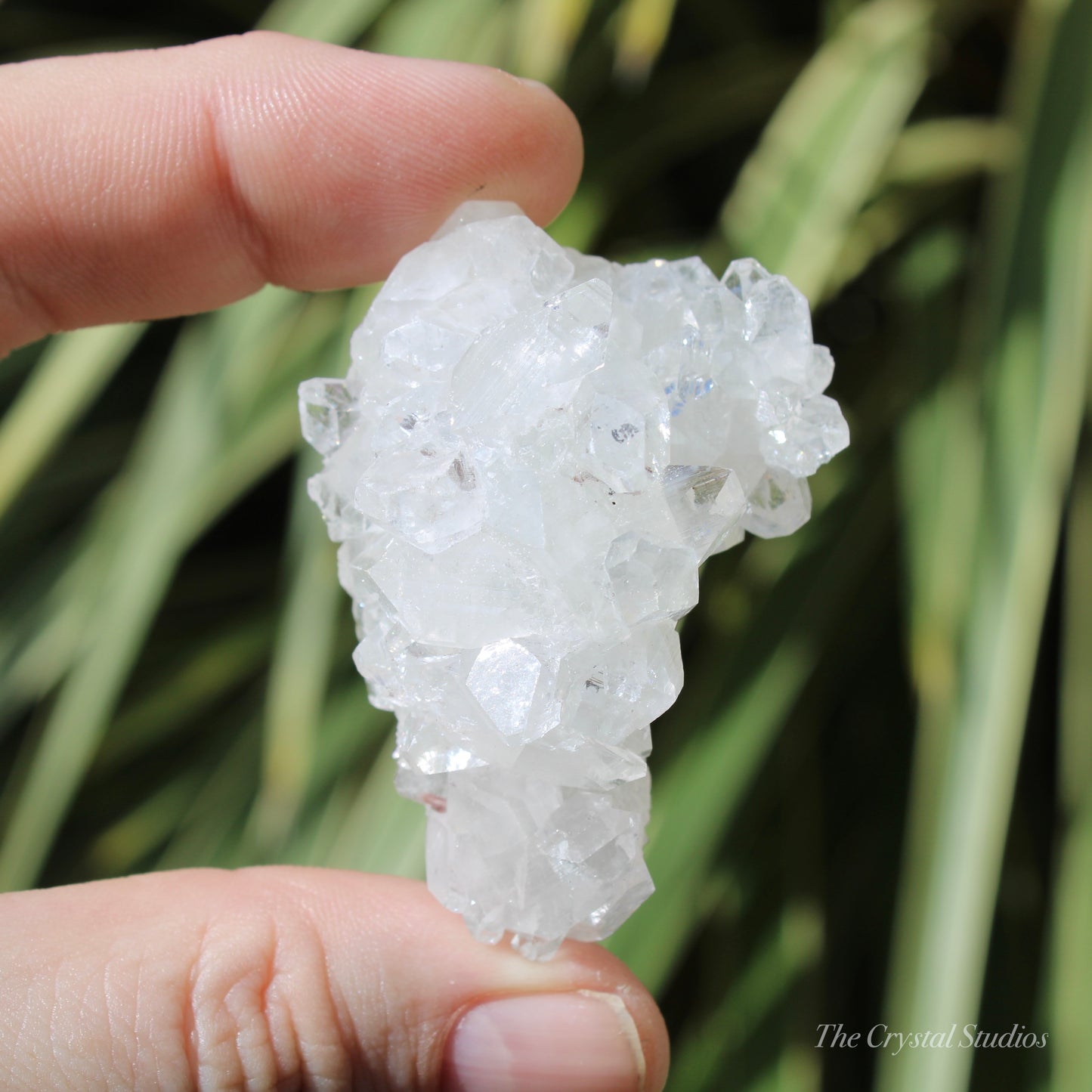 Apophyllite Natural Crystal Cluster