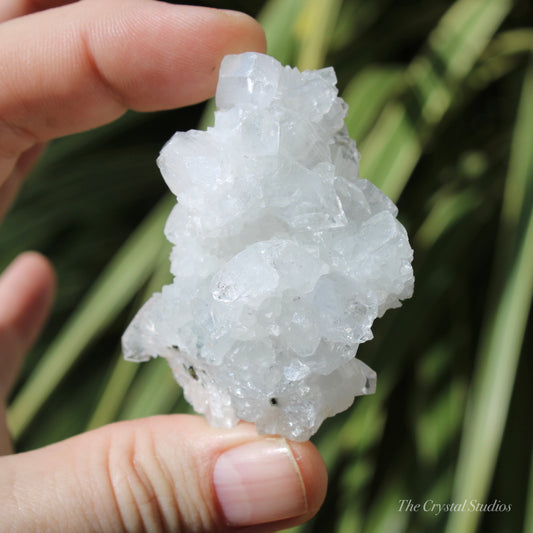 Apophyllite Natural Crystal Cluster