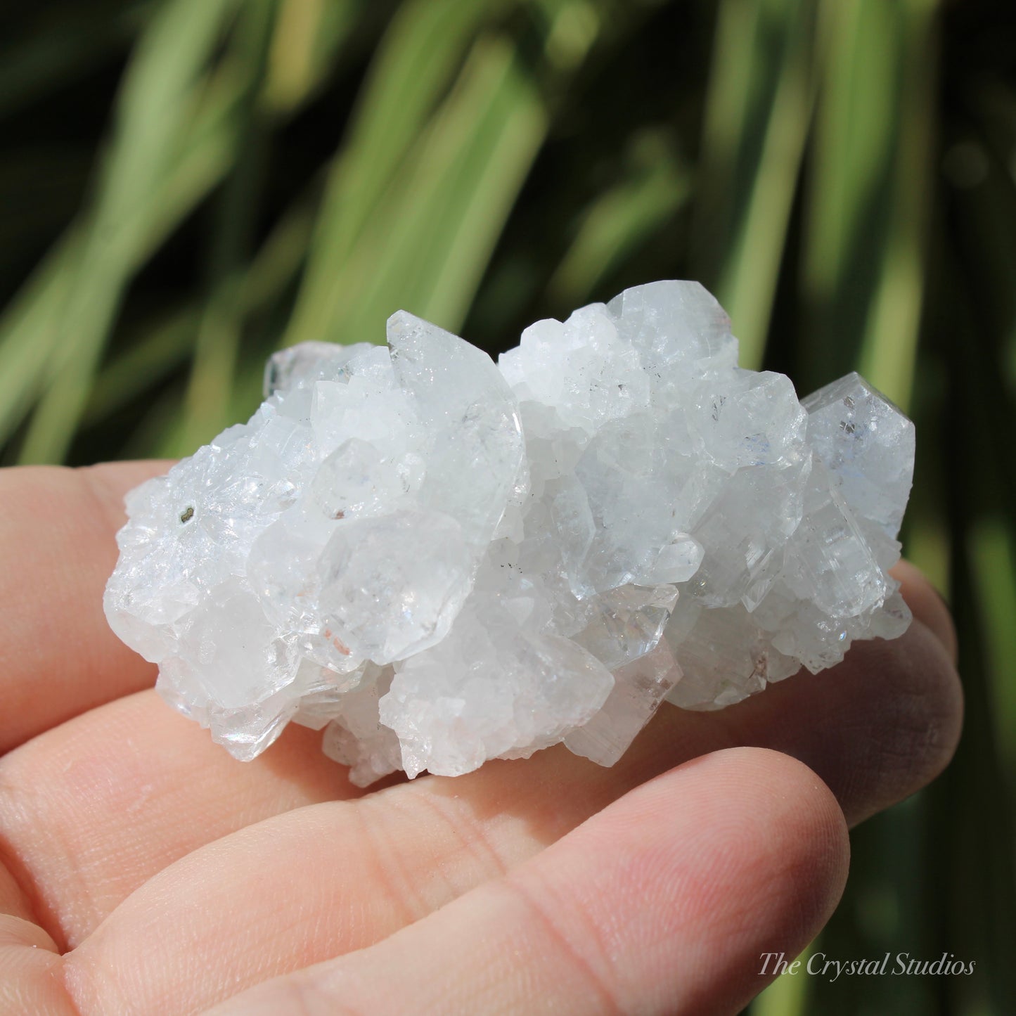 Apophyllite Natural Crystal Cluster