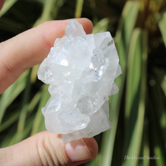 Apophyllite Natural Crystal Cluster