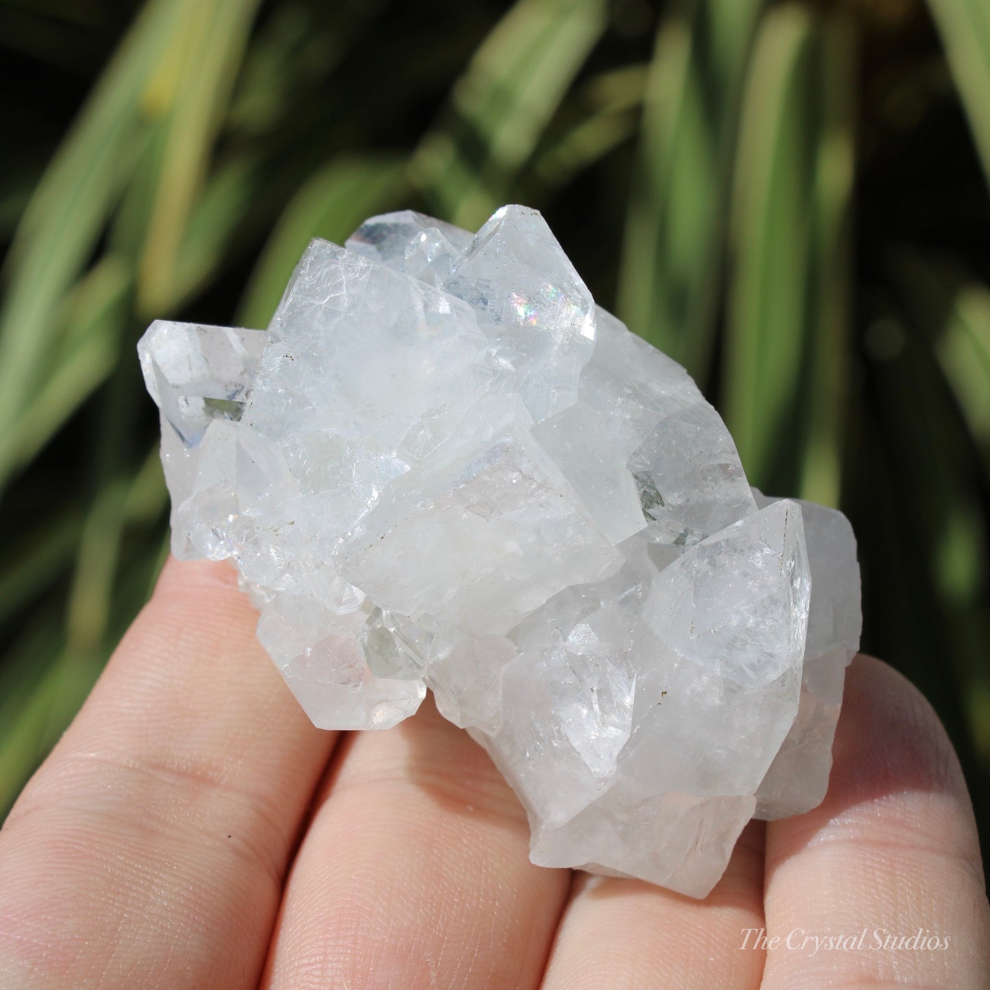 Apophyllite Natural Crystal Cluster