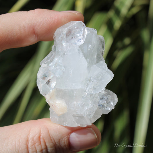 Apophyllite Natural Crystal Cluster