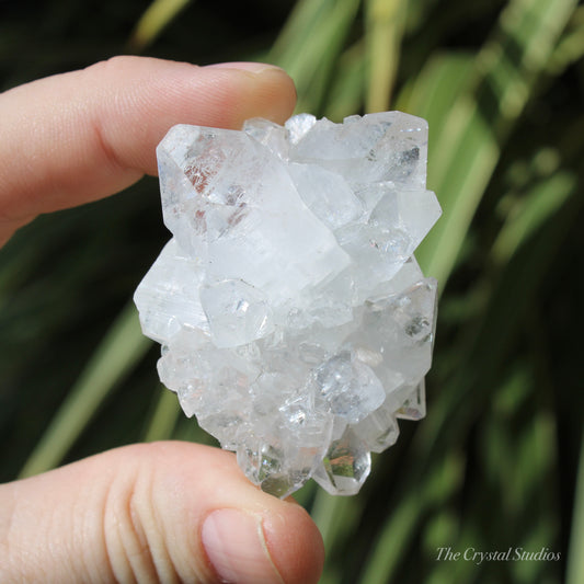 Apophyllite Natural Crystal Cluster