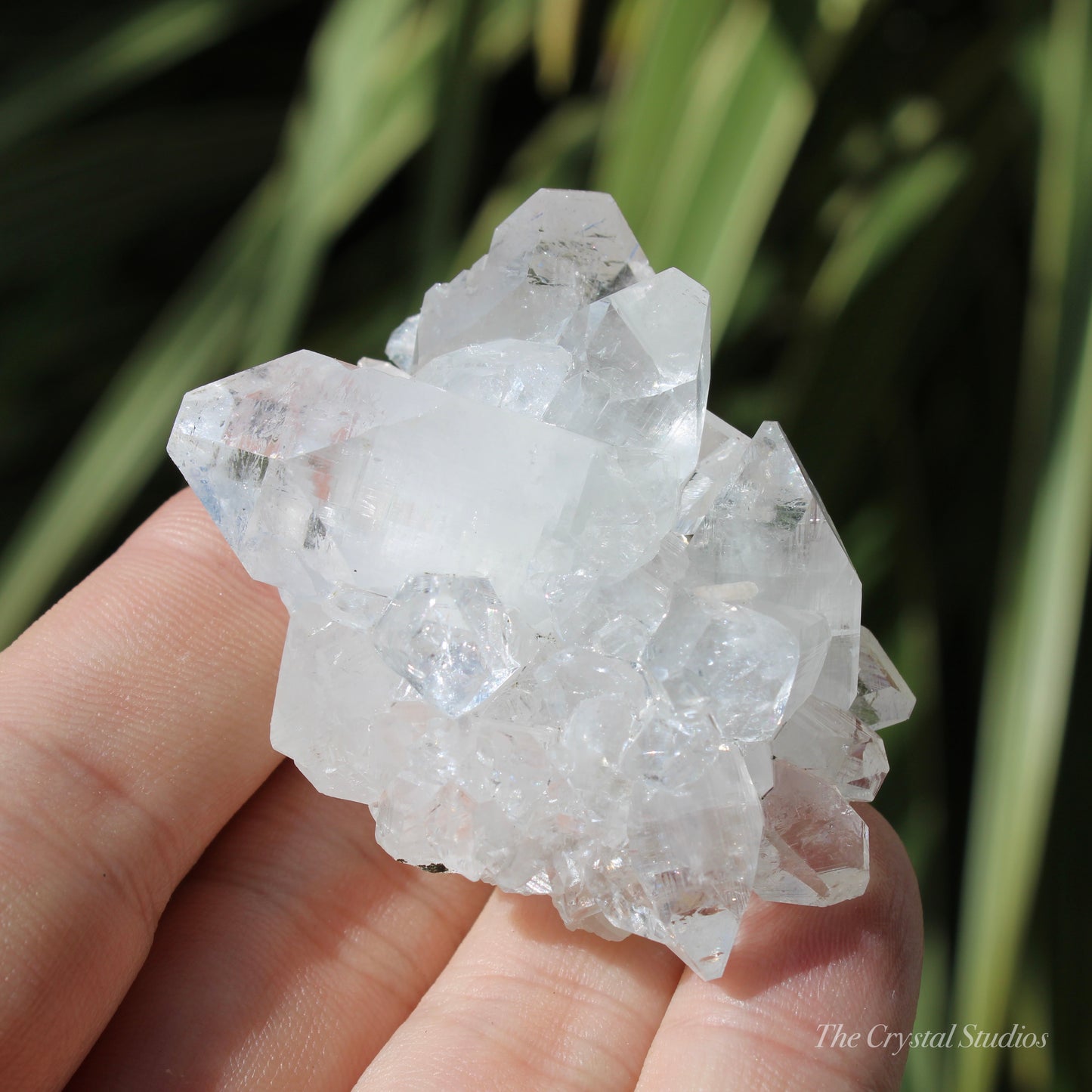 Apophyllite Natural Crystal Cluster