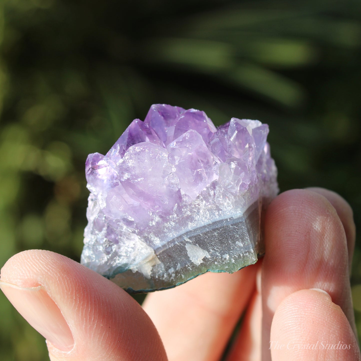 Amethyst Natural Crystal Cluster