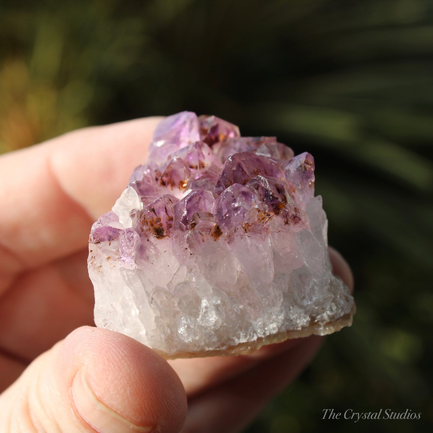 Amethyst Natural Crystal Cluster