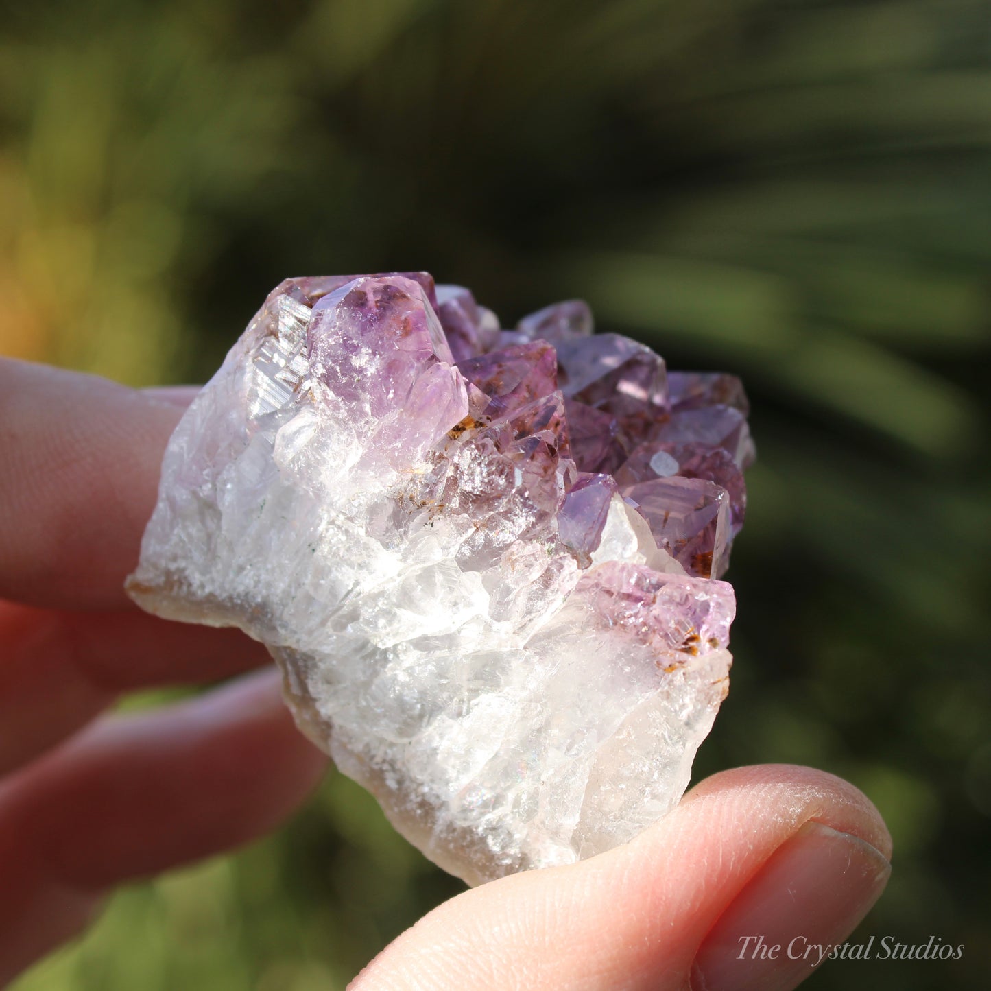 Amethyst Natural Crystal Cluster