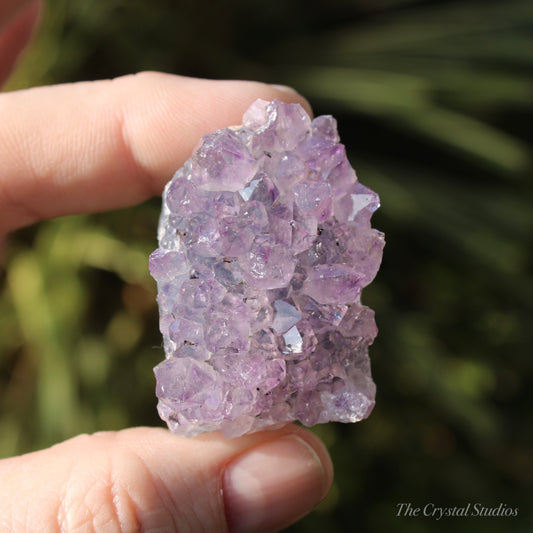 Amethyst Natural Crystal Cluster