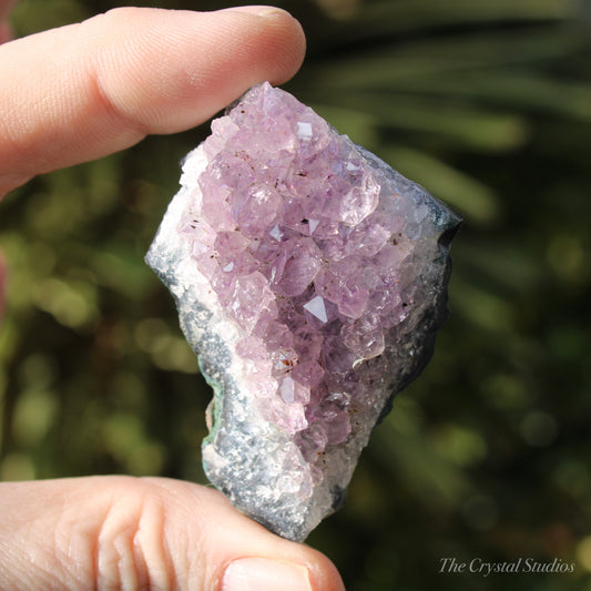 Amethyst Natural Crystal Cluster