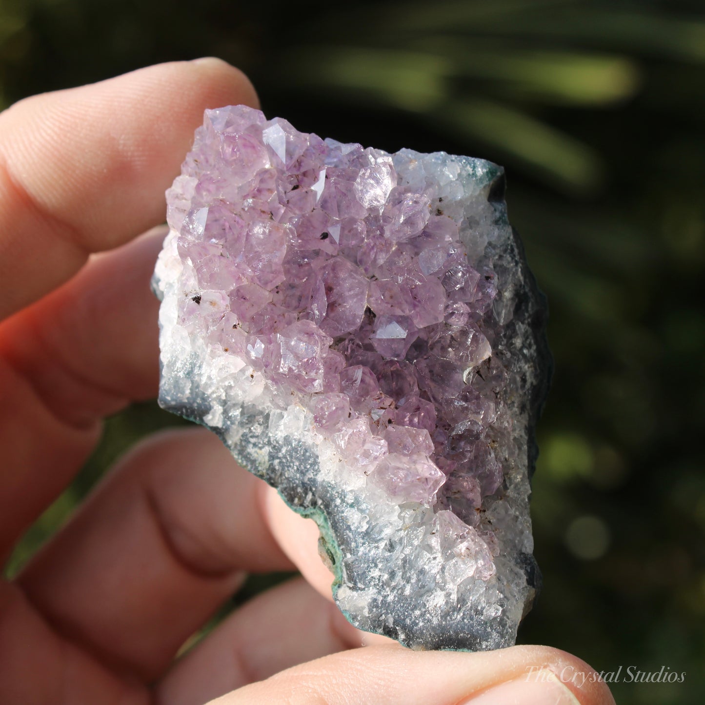 Amethyst Natural Crystal Cluster