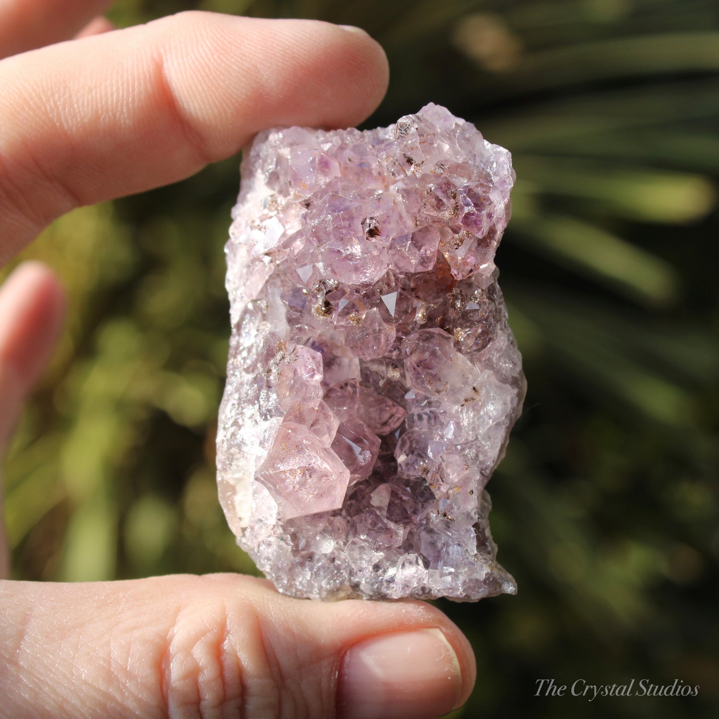 Amethyst Natural Crystal Cluster