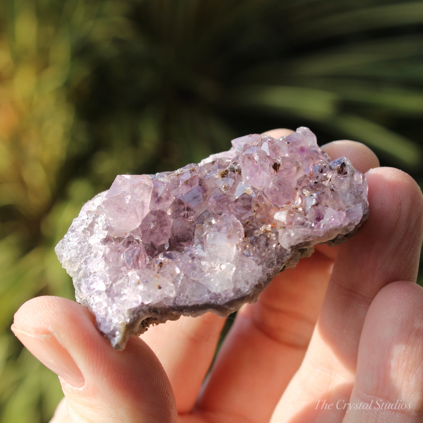 Amethyst Natural Crystal Cluster