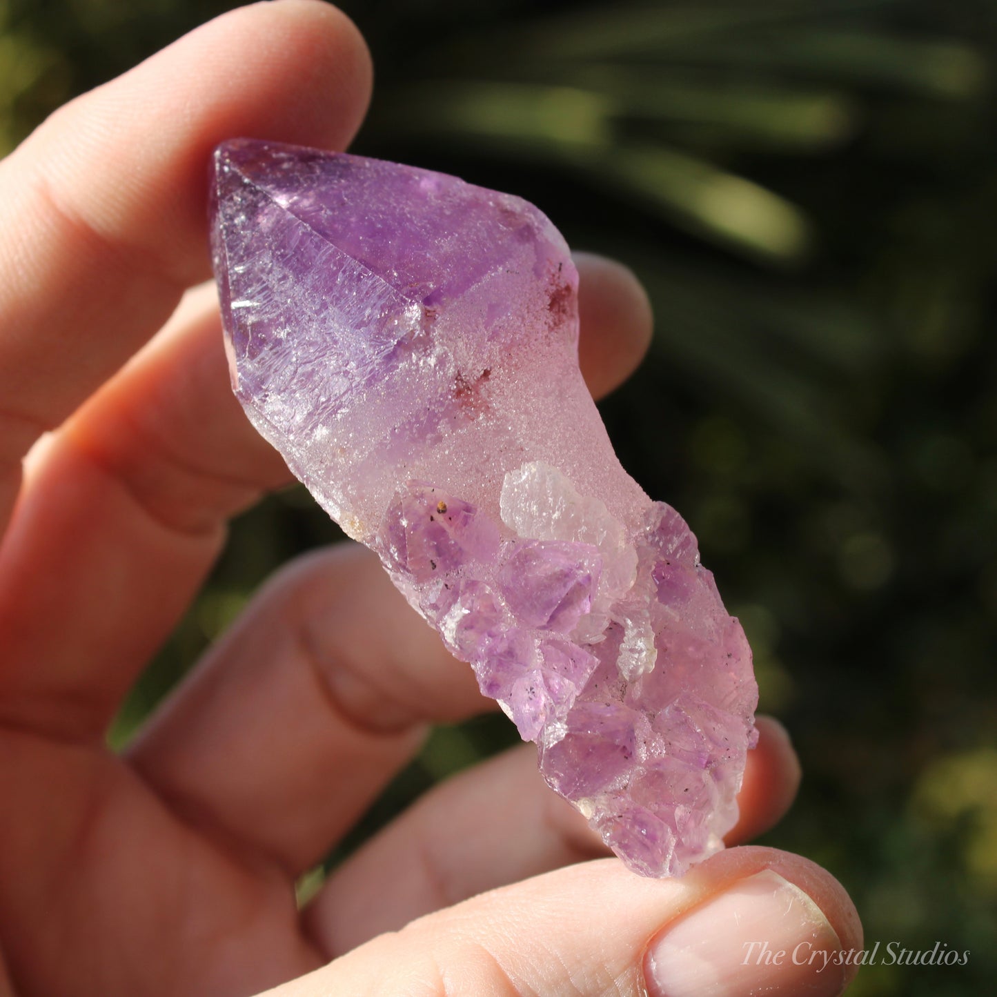 Amethyst Natural Druzy Point