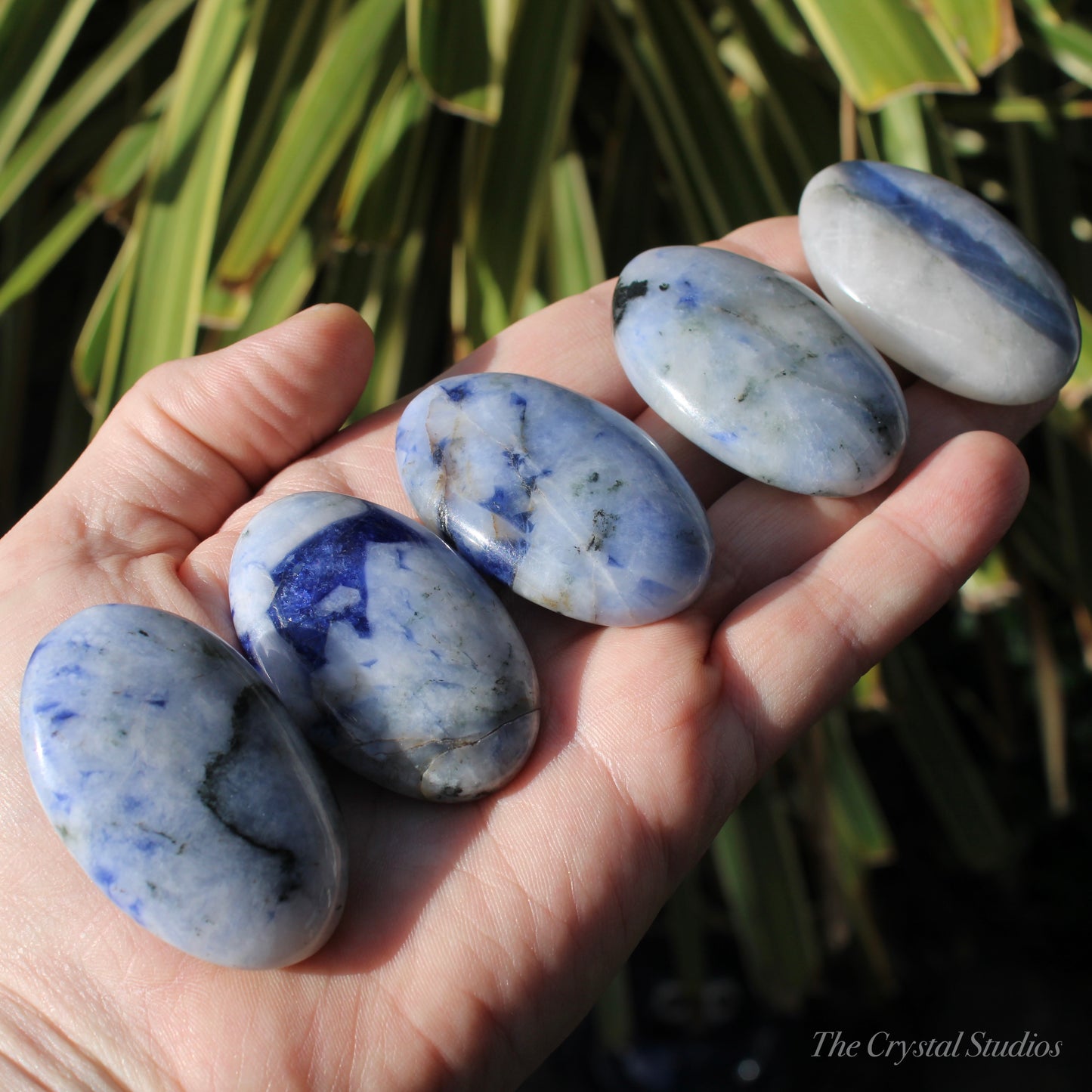 Purple/Pink UV Sodalite Polished Crystal Palmstones