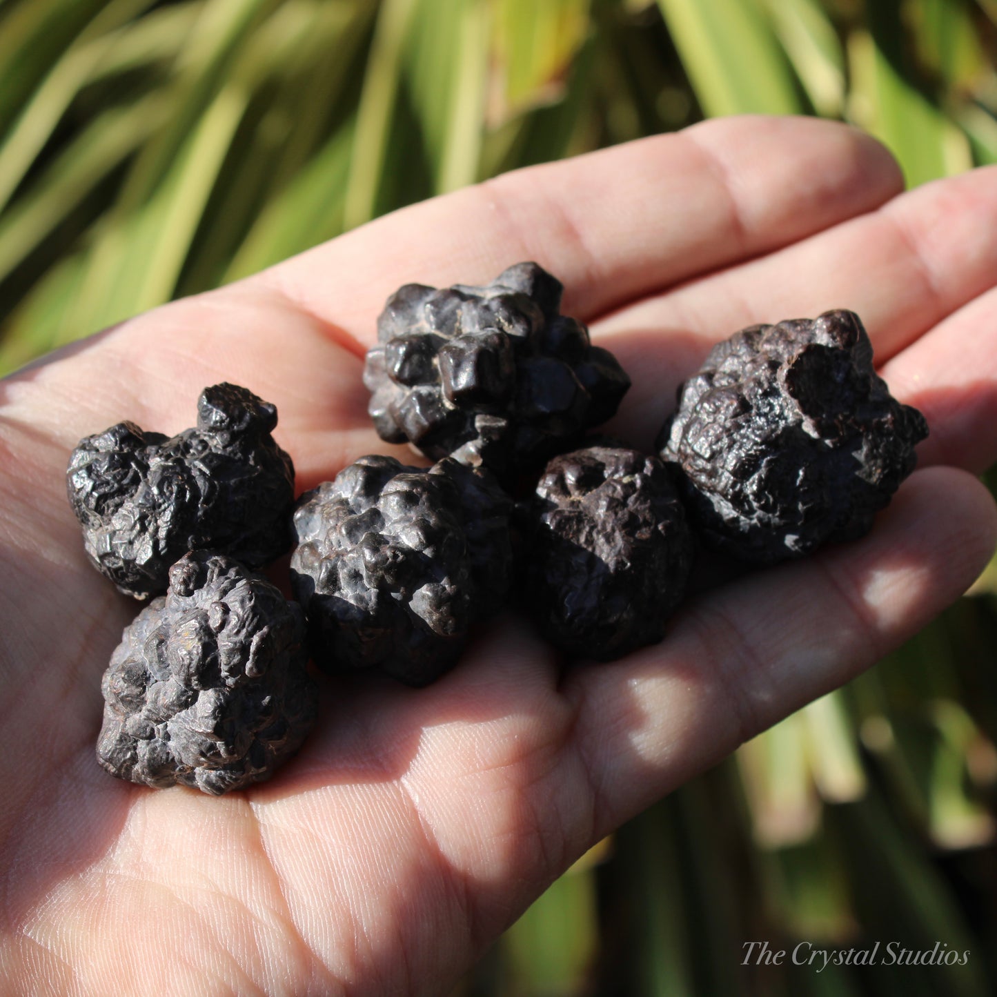 Prophecy Stone Limonite & Hematite Natural Crystals