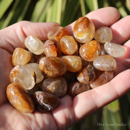 Golden Healer Medium Polished Crystal Tumblestones