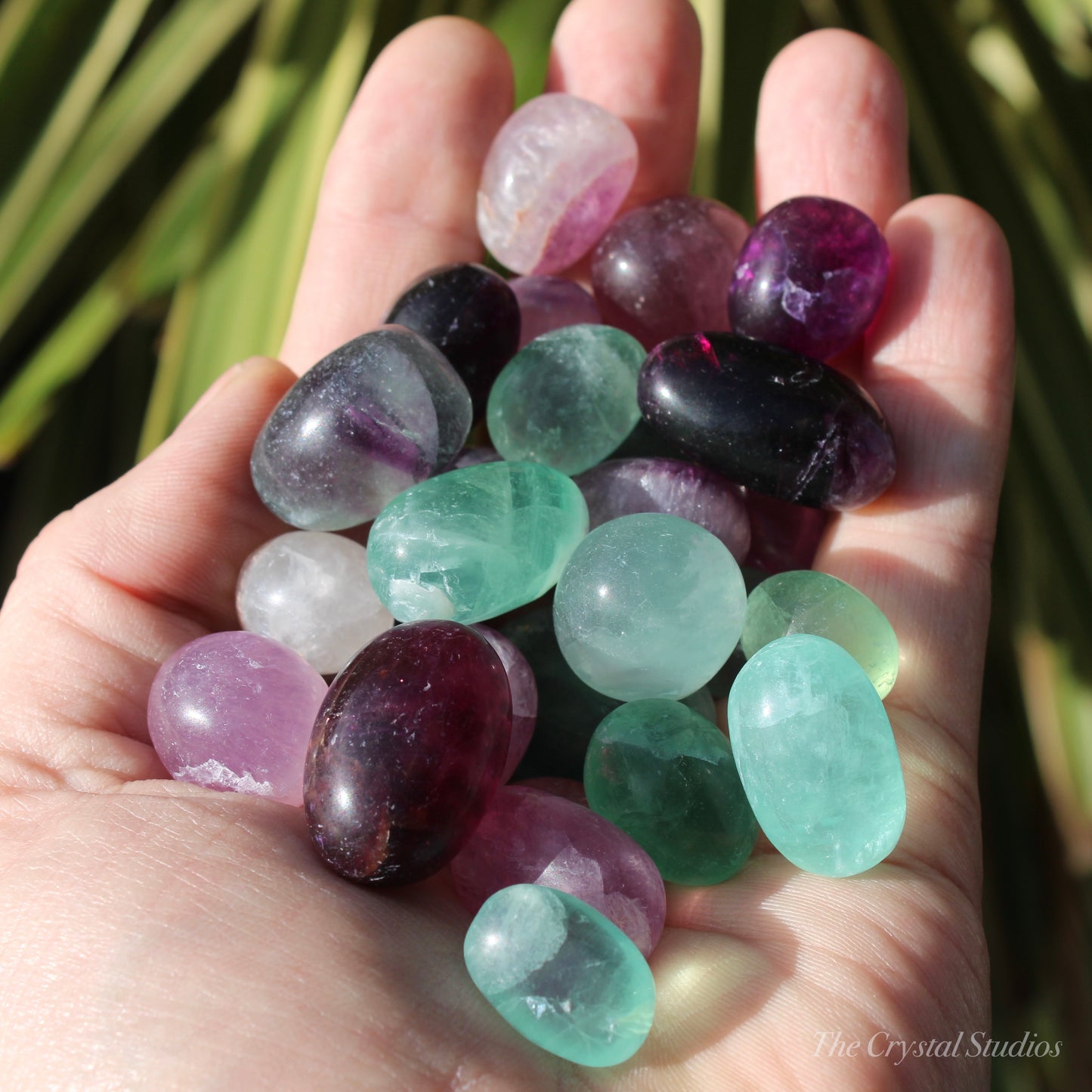 Fluorite Polished Crystal Tumblestones