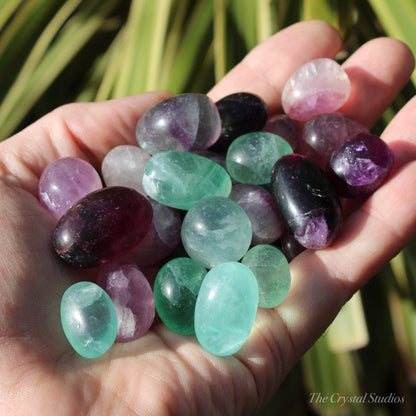 Fluorite Polished Crystal Tumblestones