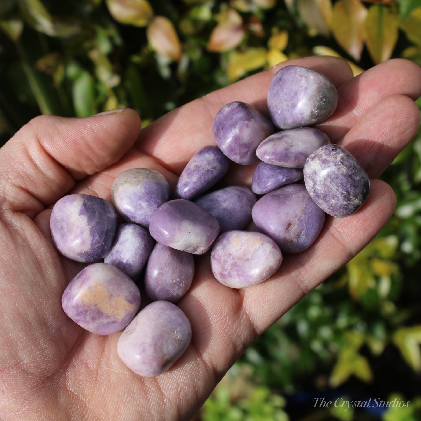 Lepidolite Polished Crystal Tumblestones