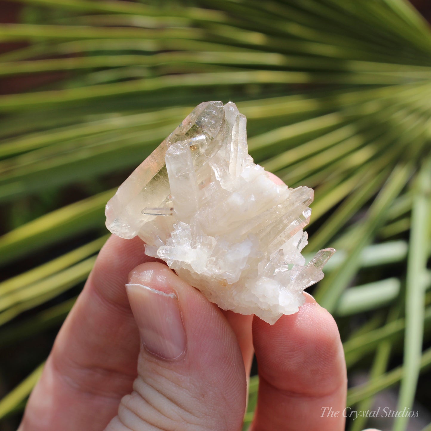 Citrine Small Natural Crystal Cluster