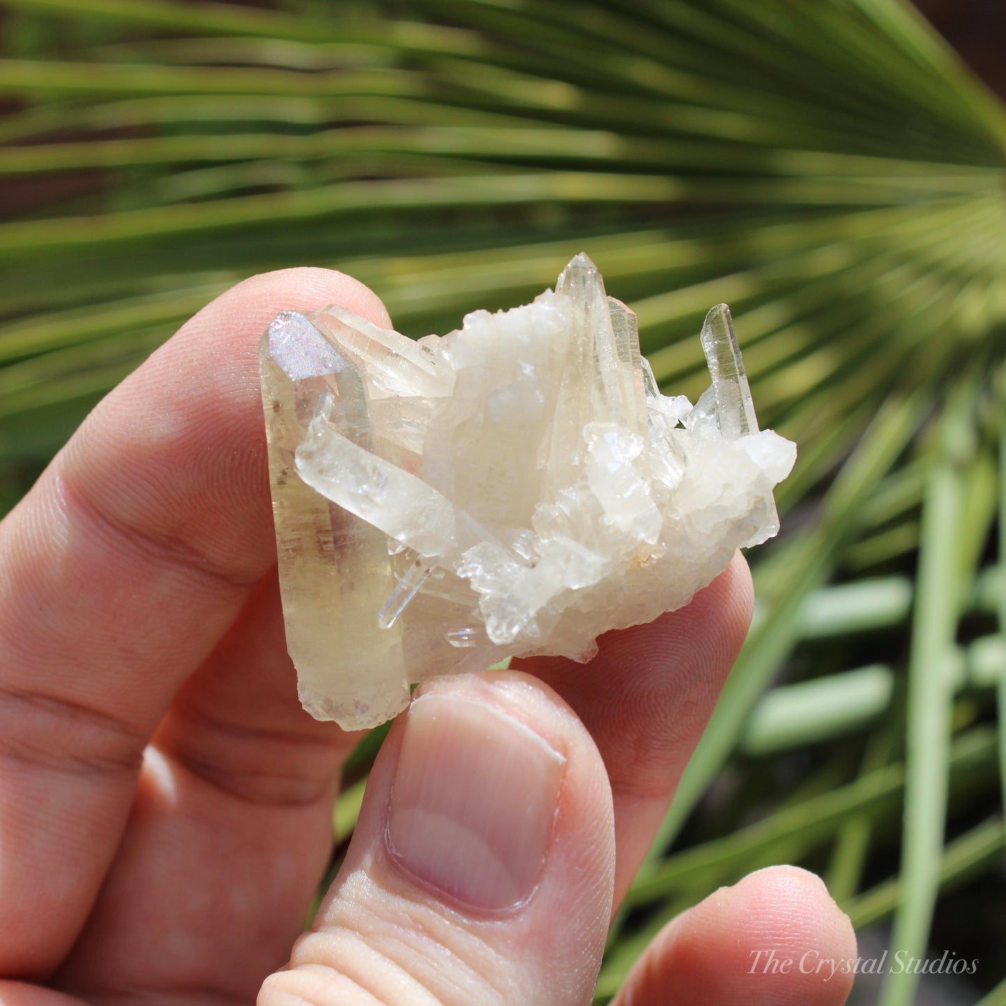 Citrine Small Natural Crystal Cluster