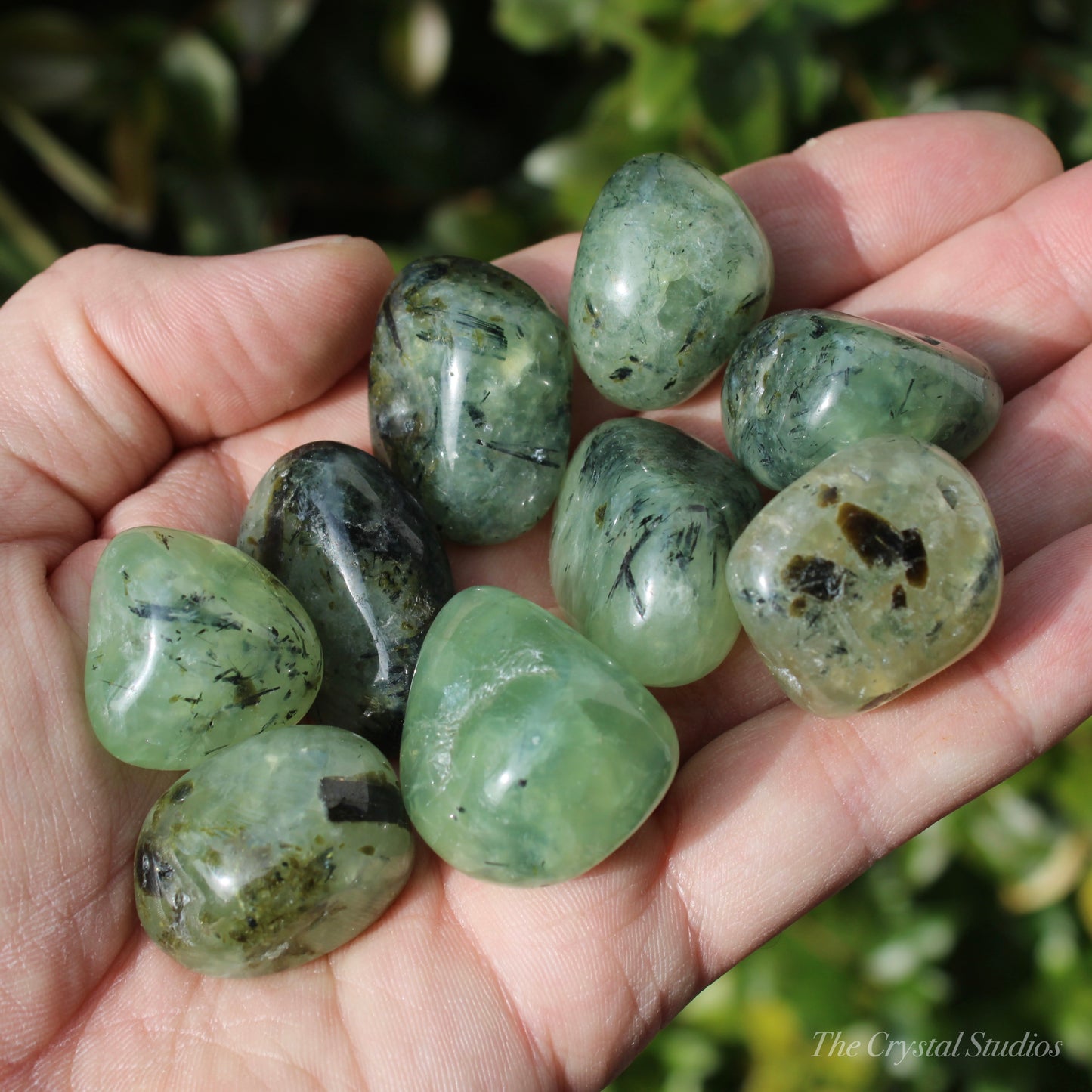 Prehnite Polished Crystal Tumblestones